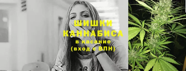 мдпв Пестово