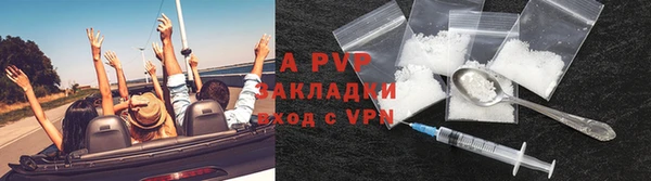 кокс Арсеньев