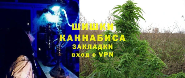 мдпв Пестово