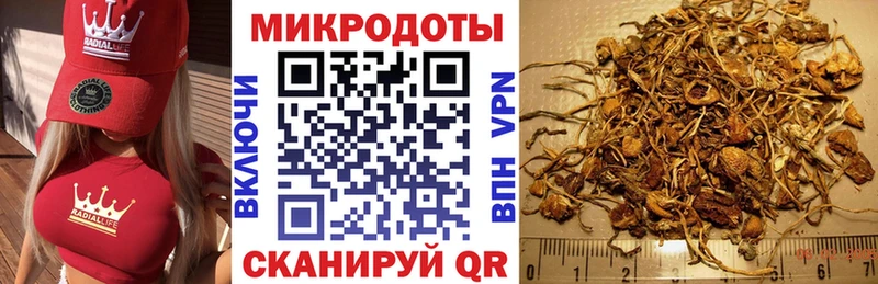 дарнет шоп  MEGA ссылки  Галлюциногенные грибы Magic Shrooms  Спас-Клепики 